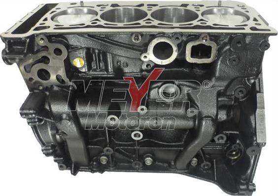 Meyer 010992080 - Motor,excluzand accesoriile aaoparts.ro