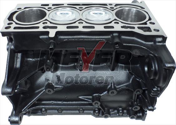 Meyer 010992020 - Motor,excluzand accesoriile aaoparts.ro