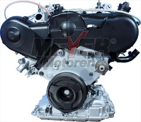 Meyer 010008000 - Motor complet aaoparts.ro