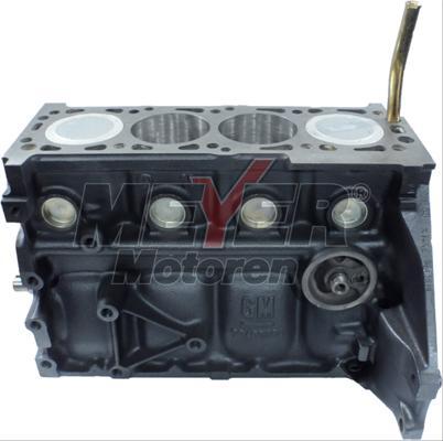 Meyer 030992000 - Motor,excluzand accesoriile aaoparts.ro