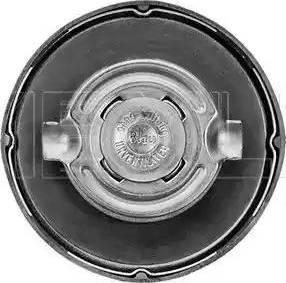 Meyle 014 800 0002 - Buson,rezervor de combustibil aaoparts.ro