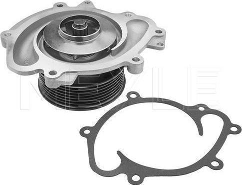 Meyle 013 220 0013 - Pompa apa aaoparts.ro