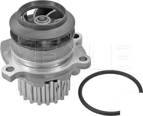 Meyle 113 220 0019 - Pompa apa aaoparts.ro