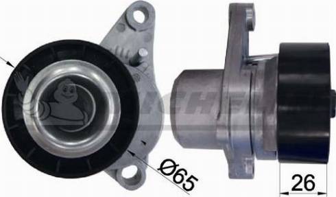 MICHELIN EngineParts SMAMP03366 - Intinzator curea, curea distributie aaoparts.ro