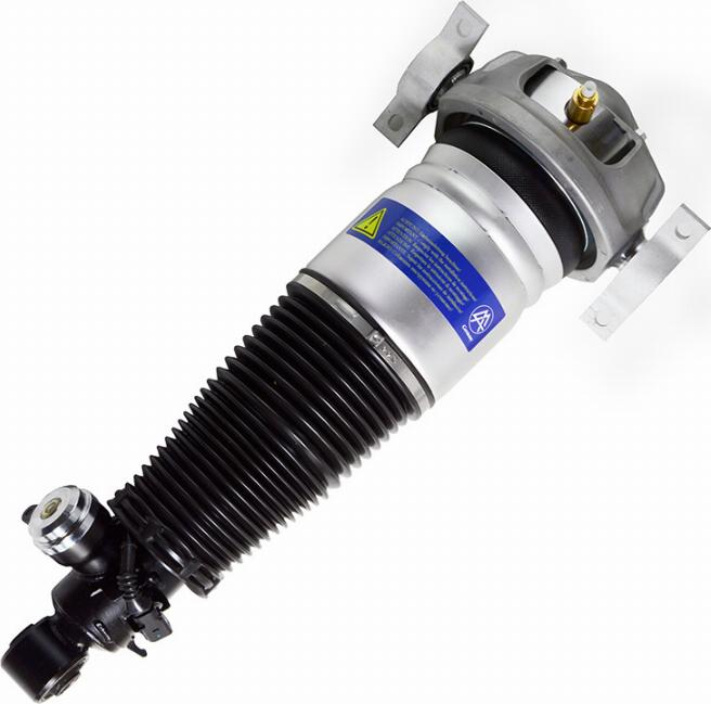 MiesslerAutomotive 1163-01-3420 - Brat arc pneumatic aaoparts.ro