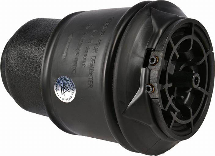 MiesslerAutomotive 1178-01-9480 - Arc pneumatic, directie aaoparts.ro