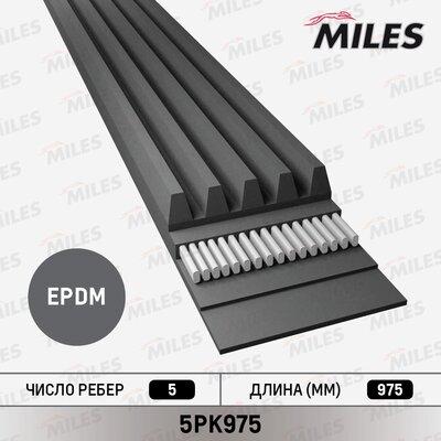 Miles 5PK975 - Curea transmisie cu caneluri aaoparts.ro
