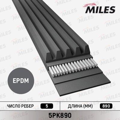 Miles 5PK890 - Curea transmisie cu caneluri aaoparts.ro