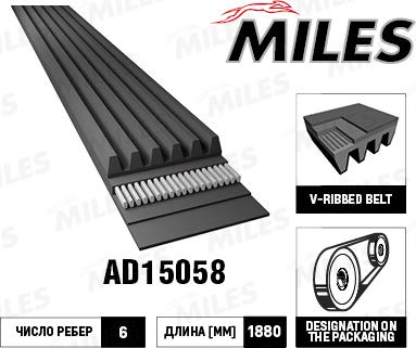 Miles AD15058 - Curea transmisie cu caneluri aaoparts.ro