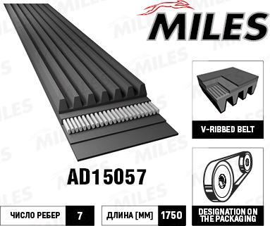Miles AD15057 - Curea transmisie cu caneluri aaoparts.ro