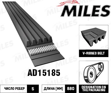 Miles AD15185 - Curea transmisie cu caneluri aaoparts.ro
