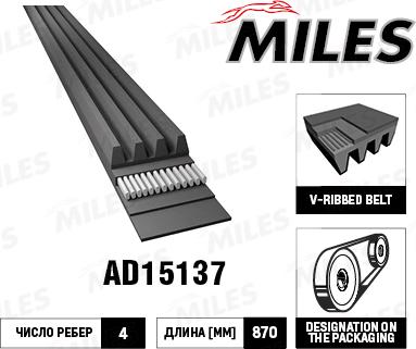 Miles AD15137 - Curea transmisie cu caneluri aaoparts.ro