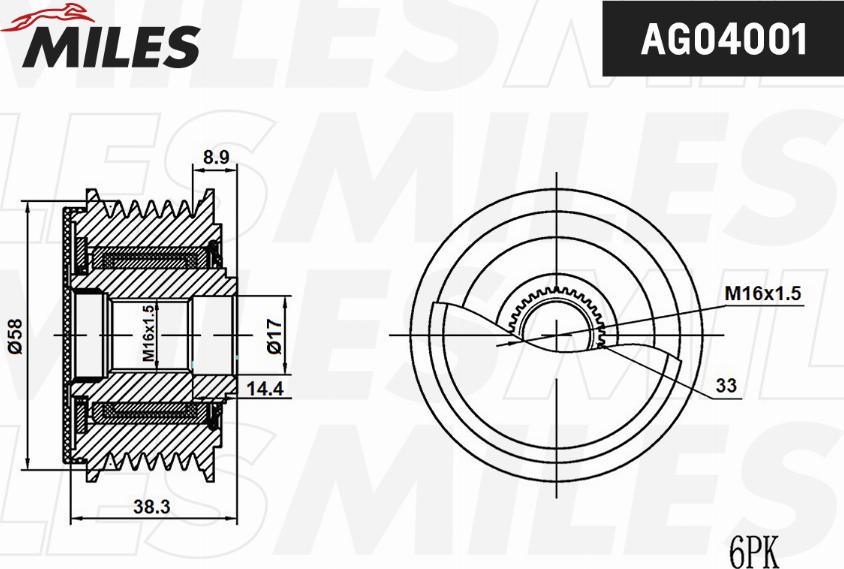 Miles AG04001 - Fulie, alternator aaoparts.ro