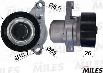 Miles AG00303 - Intinzator curea, curea distributie aaoparts.ro