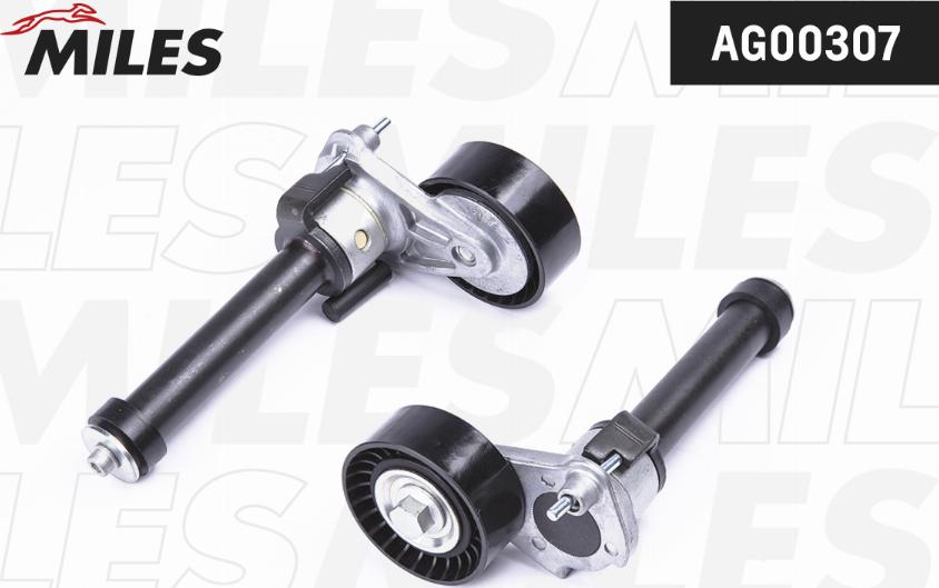 Miles AG00307 - Intinzator curea, curea distributie aaoparts.ro