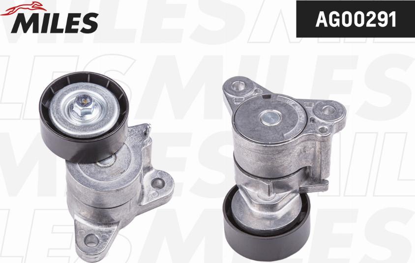 Miles AG00291 - Intinzator curea, curea distributie aaoparts.ro
