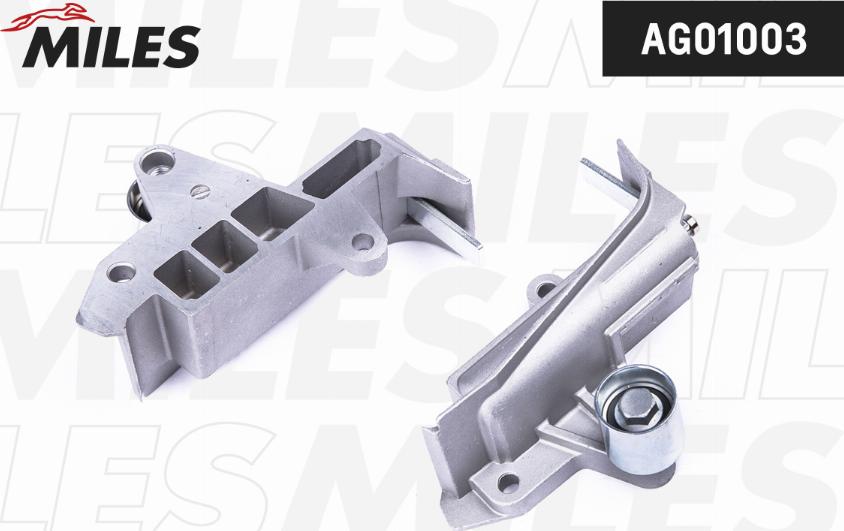Miles AG01003 - Amortizor vibratii, curea distributie aaoparts.ro