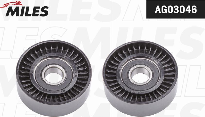 Miles AG03046 - Intinzator curea, curea distributie aaoparts.ro