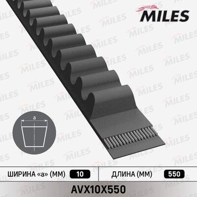 Miles AVX10X550 - Curea transmisie aaoparts.ro