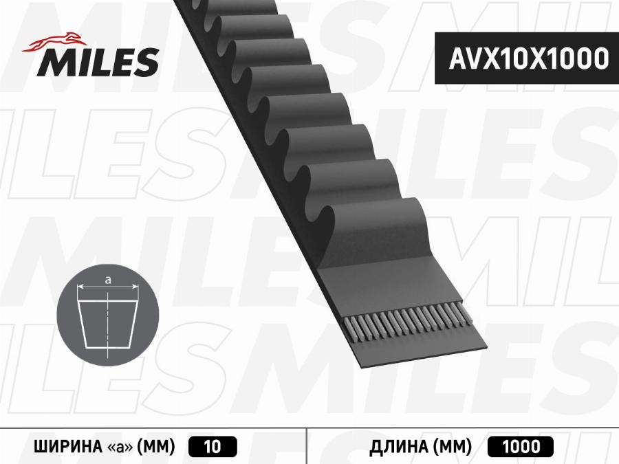 Miles AVX10X1000 - Curea transmisie aaoparts.ro