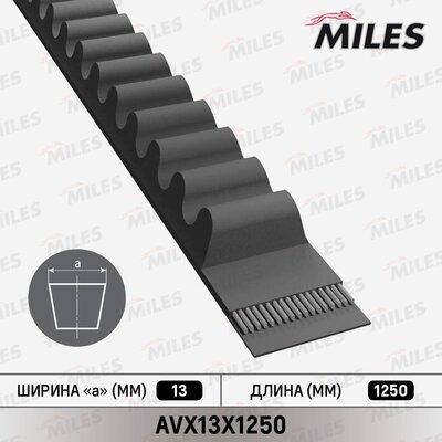 Miles AVX13X1250 - Curea transmisie aaoparts.ro