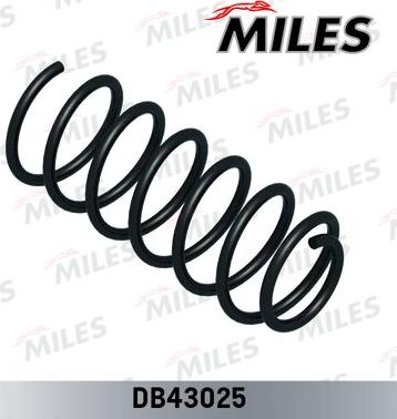 Miles DB43025 - Arc spiral aaoparts.ro