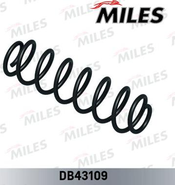 Miles DB43109 - Arc spiral aaoparts.ro
