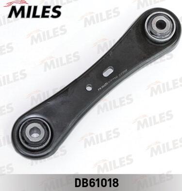 Miles DB61018 - Brat, suspensie roata aaoparts.ro