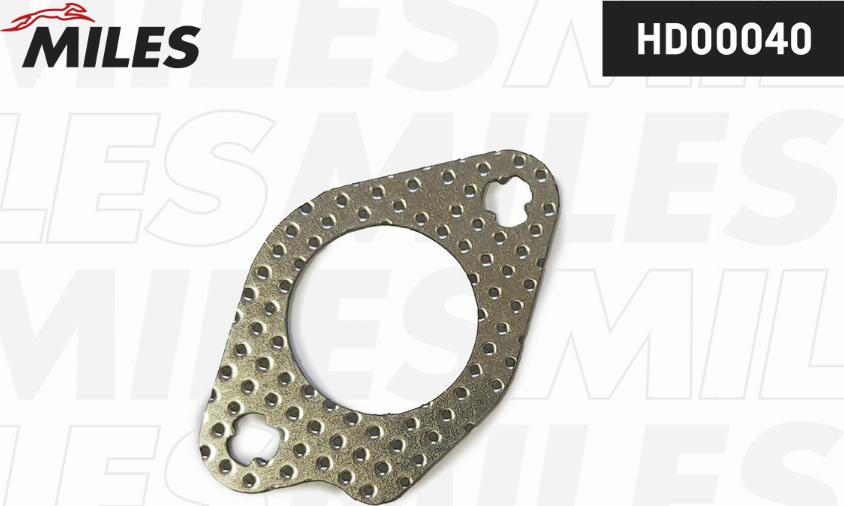 Miles HD00040 - Garnitura, conducta supapa-AGR aaoparts.ro
