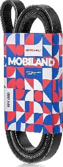 MOBILAND 501261880 - Curea transmisie cu caneluri aaoparts.ro