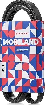 MOBILAND 5PK1243 - Curea transmisie cu caneluri aaoparts.ro