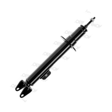 MONROE 72248ST - Amortizor aaoparts.ro