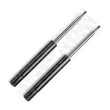 Delphi D2255729 - Amortizor aaoparts.ro