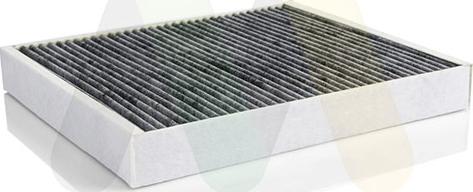 Motaquip LVCF593 - Filtru, aer habitaclu aaoparts.ro