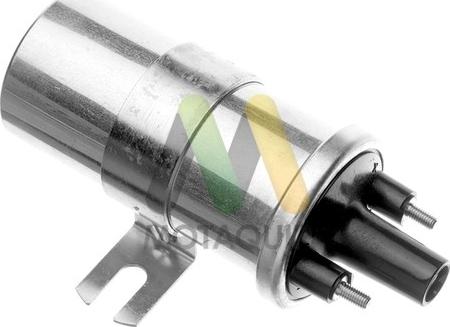 Motaquip LVCL402 - Bobina de inductie aaoparts.ro