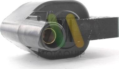 Motaquip LVCL1021 - Bobina de inductie aaoparts.ro