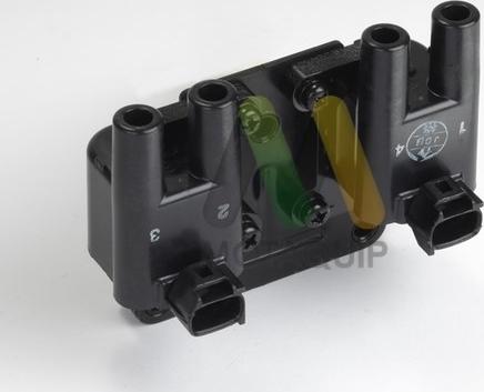 Motaquip LVCL890 - Bobina de inductie aaoparts.ro