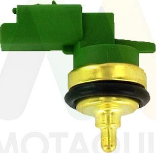 Motaquip LVCT481 - Senzor,temperatura lichid de racire aaoparts.ro