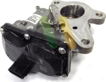 Motaquip LVER423 - Supapa EGR aaoparts.ro