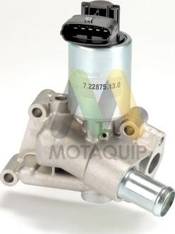 Motaquip LVER131 - Supapa EGR aaoparts.ro