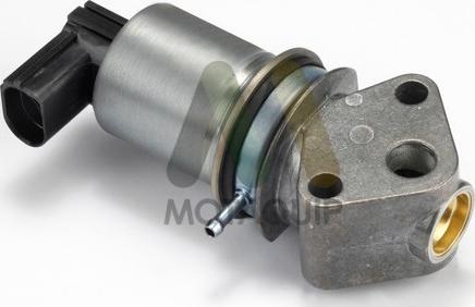 Motaquip LVER348 - Supapa EGR aaoparts.ro