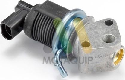 Motaquip LVER258 - Supapa EGR aaoparts.ro