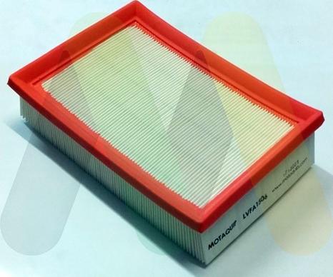 Motaquip LVFA1506 - Filtru aer aaoparts.ro