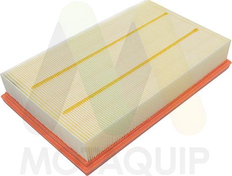 Motaquip LVFA1673 - Filtru aer aaoparts.ro
