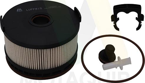 Motaquip LVFF815 - Filtru combustibil aaoparts.ro
