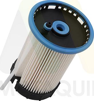 Motaquip LVFF779 - Filtru combustibil aaoparts.ro