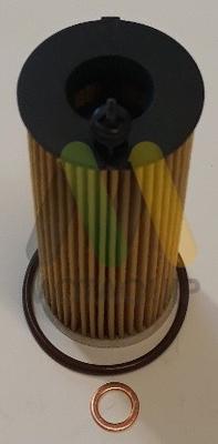 Motaquip LVFL832 - Filtru ulei aaoparts.ro
