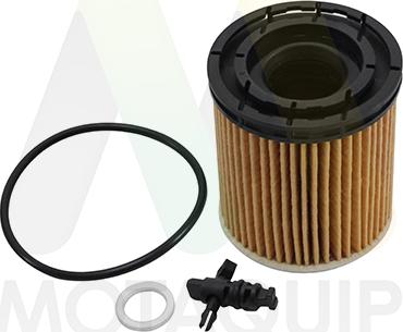 Motaquip LVFL877 - Filtru ulei aaoparts.ro