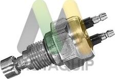 Motaquip LVRF334 - Comutator temperatura, ventilator radiator aaoparts.ro