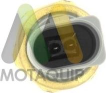 Motaquip LVRP295 - Comutator presiune ulei, servodirectie aaoparts.ro